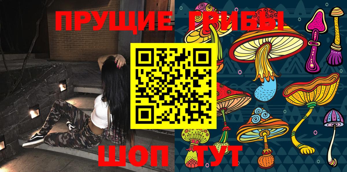 Псилоцибиновые грибы GOLDEN TEACHER Бузулук