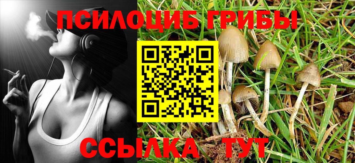 Лсд 25  ГАШ  Марихуана  ЭКСТАЗИ  Где купить  Бузулук  Вход с VPN  APVP СОЛЬ кристаллы  МЕФ  