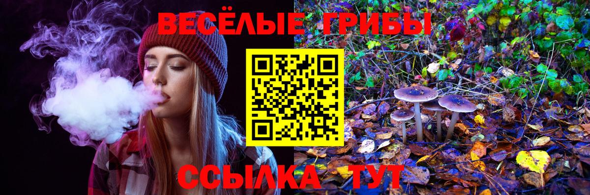 Бузулук  Галлюциногенные грибы Psilocybine cubensis  Вход с VPN 
