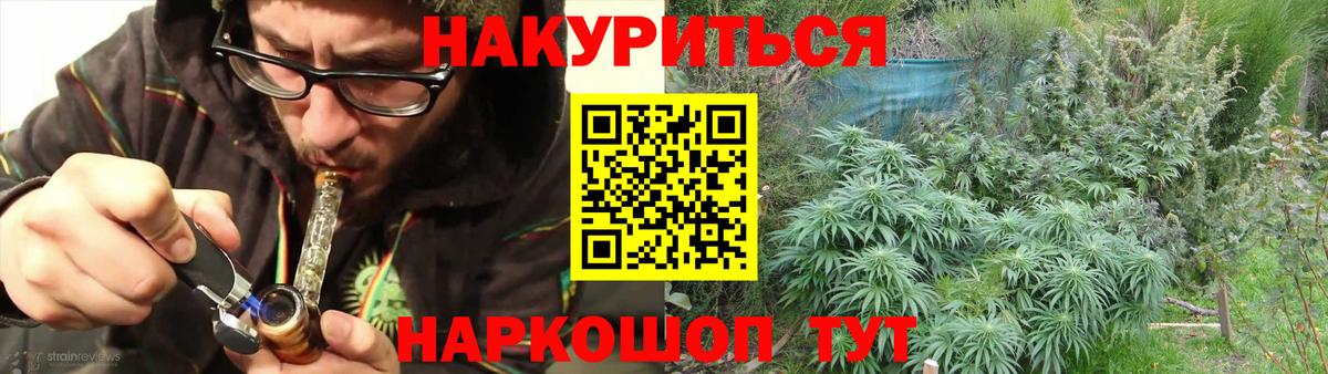 Конопля гибрид Бузулук